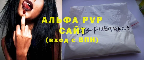 индика Горно-Алтайск