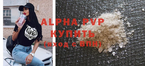 гидра Володарск