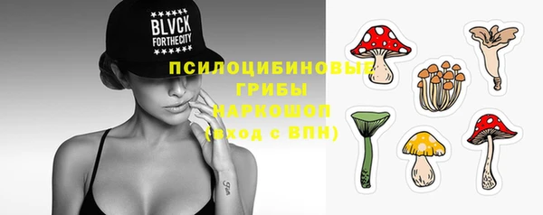 гидра Володарск