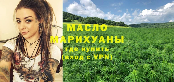 индика Горно-Алтайск