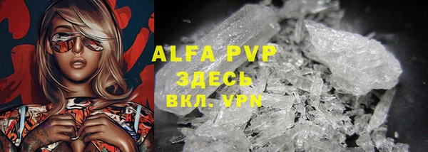 гидра Володарск