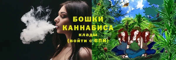 индика Горно-Алтайск
