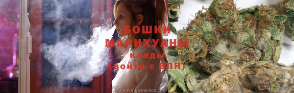 индика Горно-Алтайск